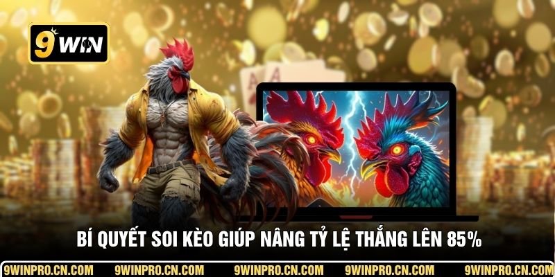  Bí quyết soi kèo giúp nâng tỷ lệ thắng lên 85%