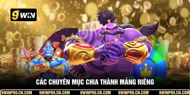 Các chuyên mục chia thành mảng riêng