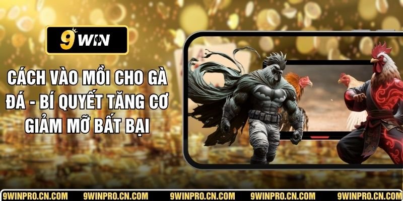 Cách Vào Mồi Cho Gà Đá - Bí Quyết Tăng Cơ Giảm Mỡ Bất Bại