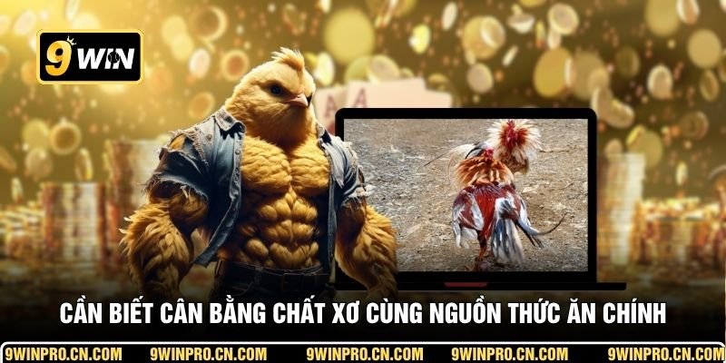 Cần biết cân bằng chất xơ cùng nguồn thức ăn chính