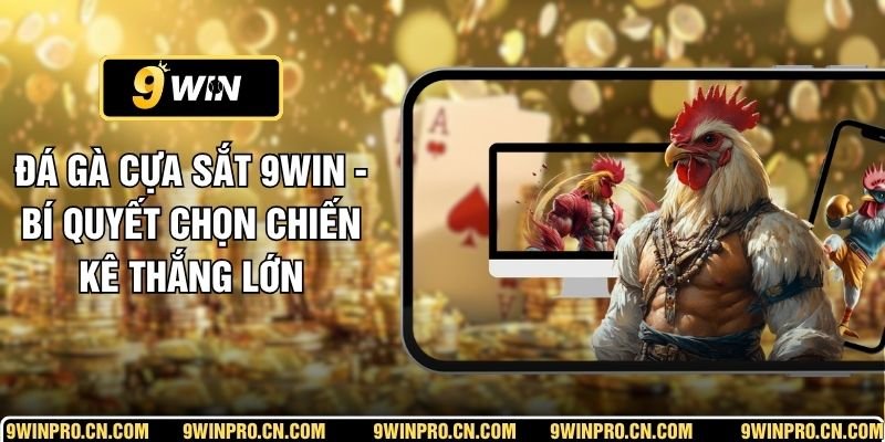 Đá Gà Cựa Sắt 9WIN - Bí Quyết Chọn Chiến Kê Thắng Lớn