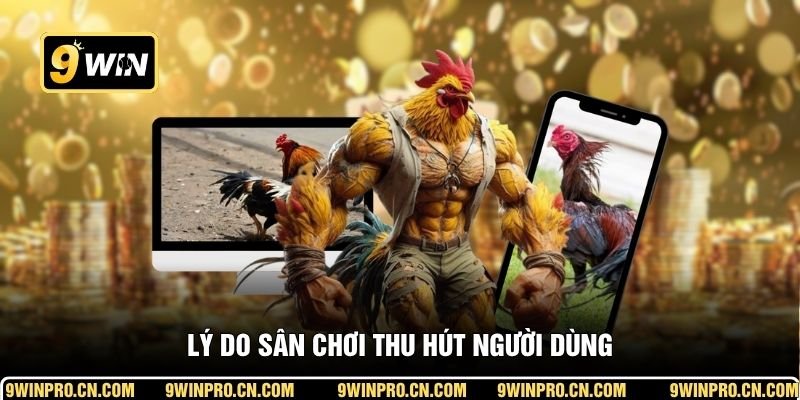 Lý do sân chơi thu hút người dùng