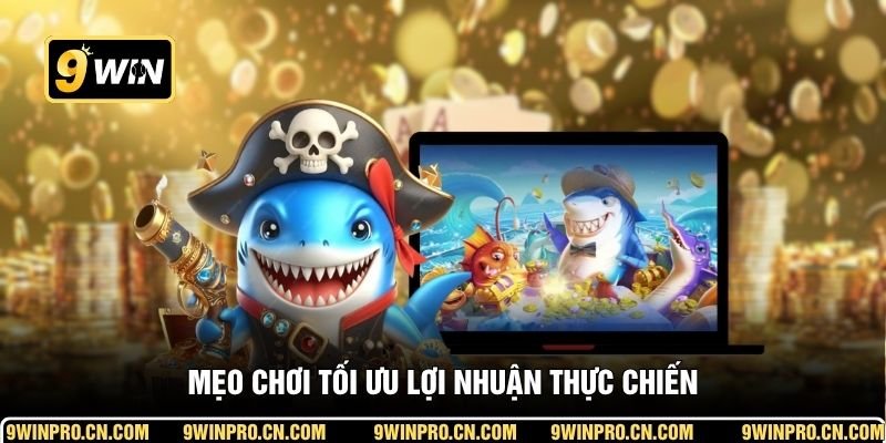 Mẹo chơi tối ưu lợi nhuận thực chiến