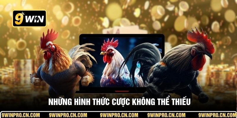  Những hình thức cược không thể thiếu