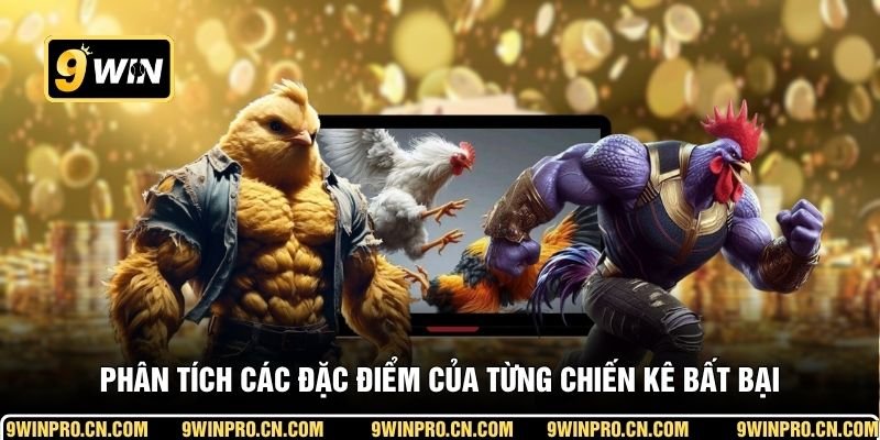 Phân tích các đặc điểm của từng chiến kê bất bại