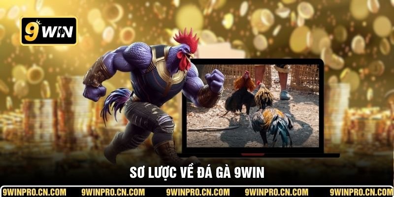 Sơ lược về đá gà 9WIN