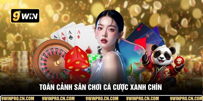 Toàn cảnh sân chơi cá cược xanh chín 